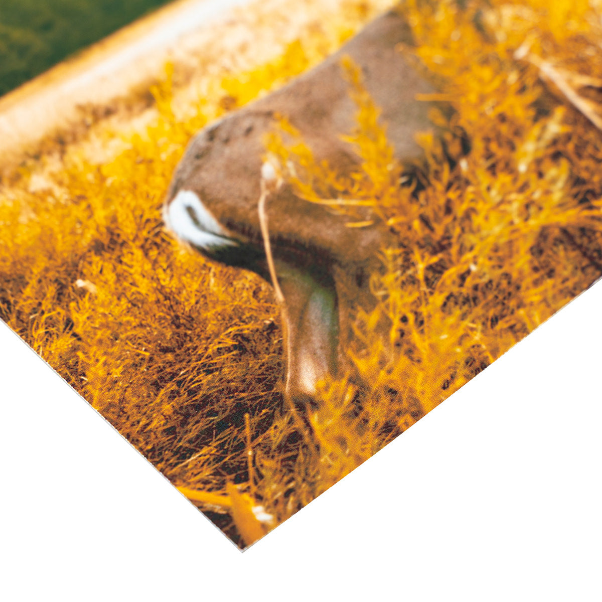 inksie Custom Fine Art Paper Print