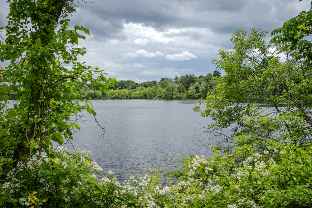 Cambridge, Massachusetts