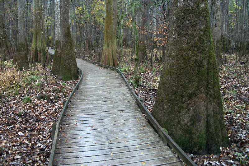 Columbia, South Carolina