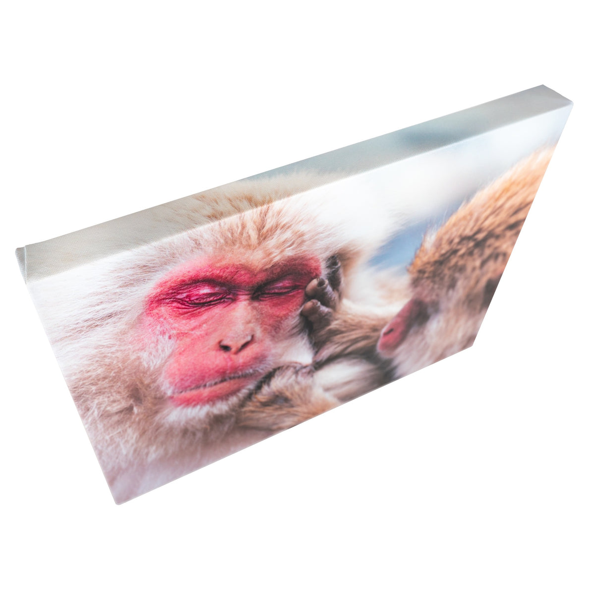 inksie Custom Stretched Premium Canvas Print